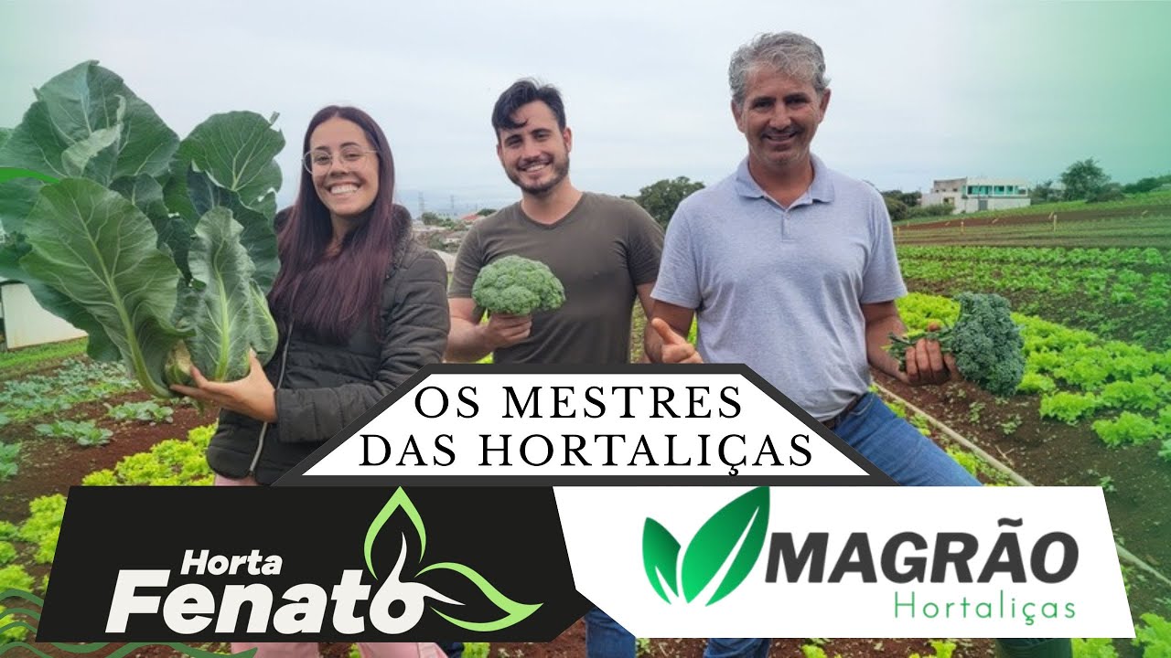 MAGRÃO HORTALIÇAS & HORTA FENATO - RESPONDENDO AS MAIORES DUVIDAS SOBRE HORTA @Horta Fenato