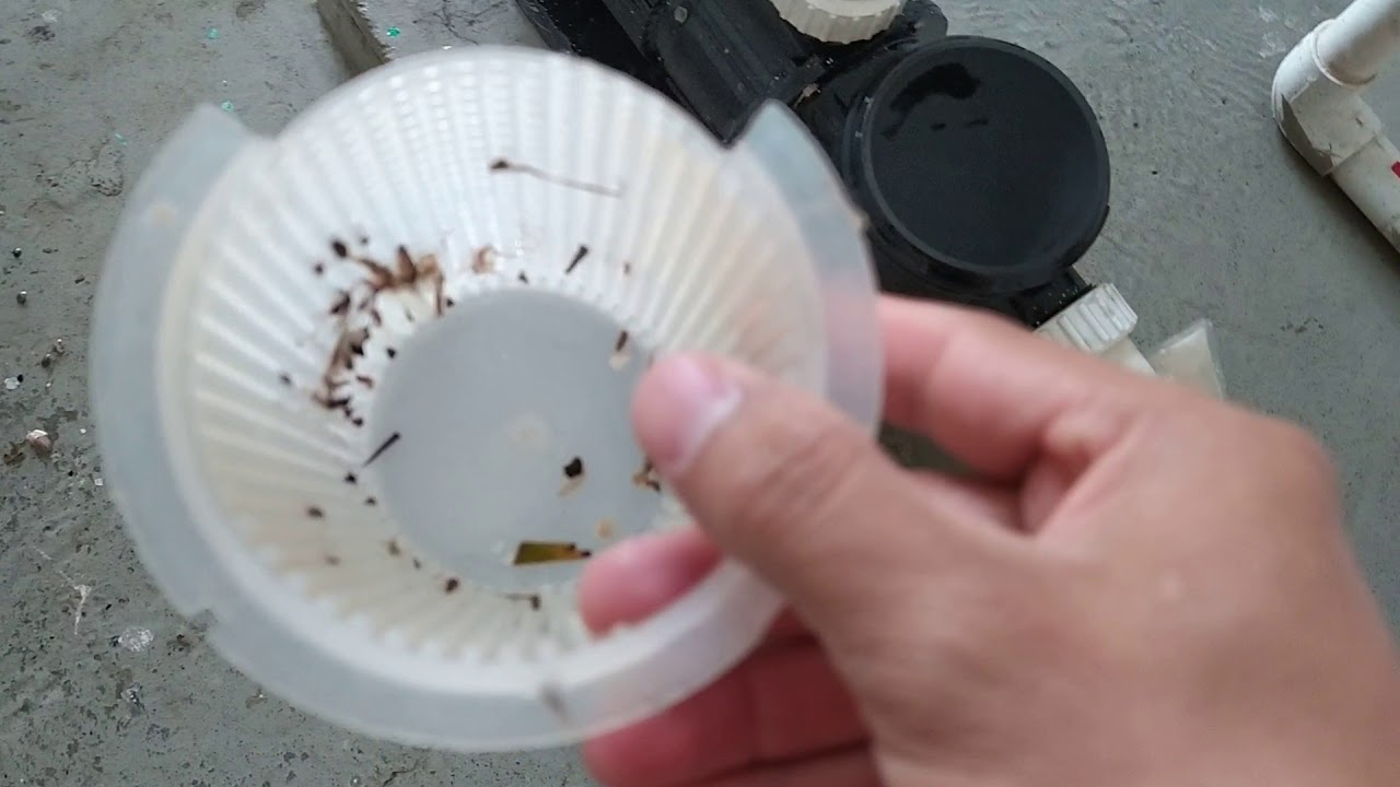 limpieza de trampa de cabello piscinas