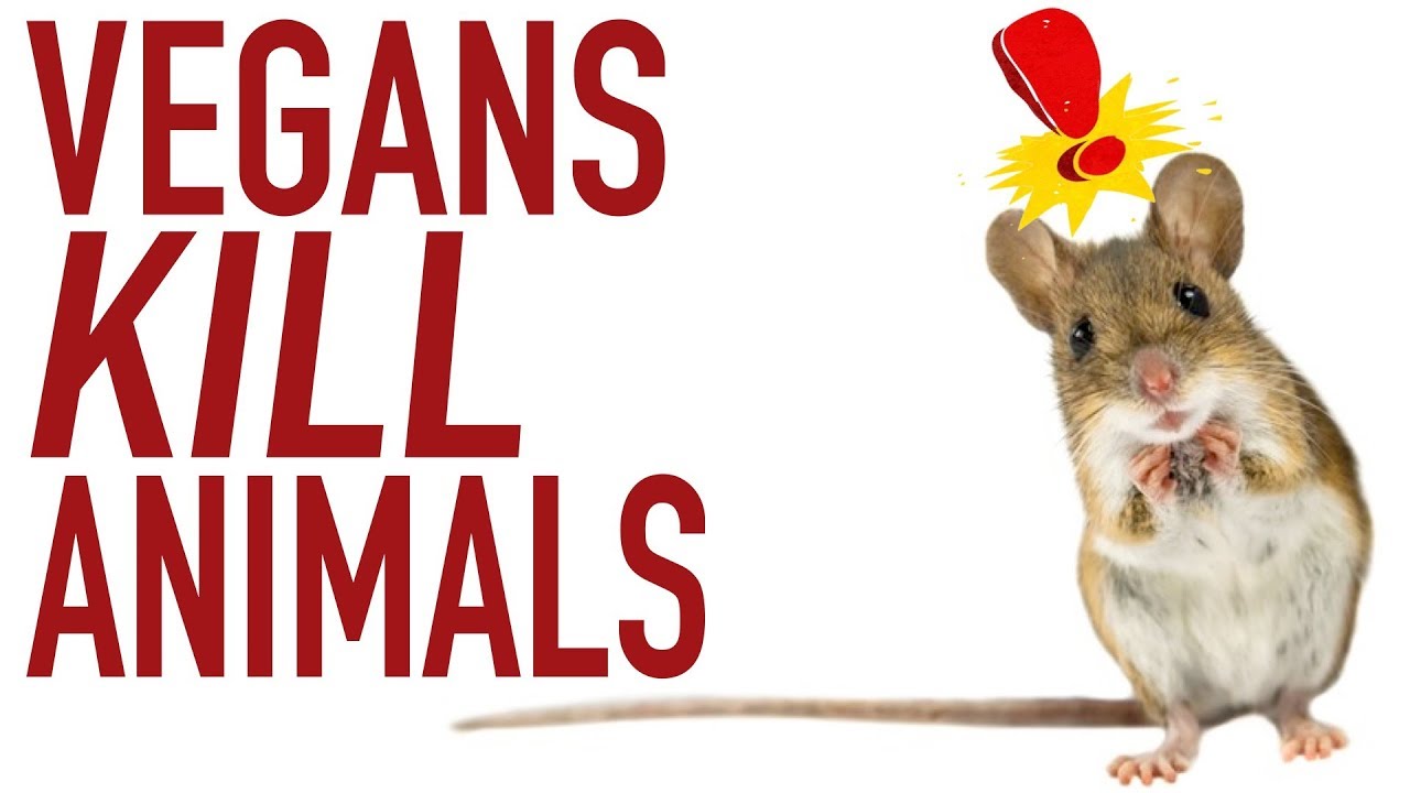 Do Vegans Kill More Animals Than Meat Eaters?