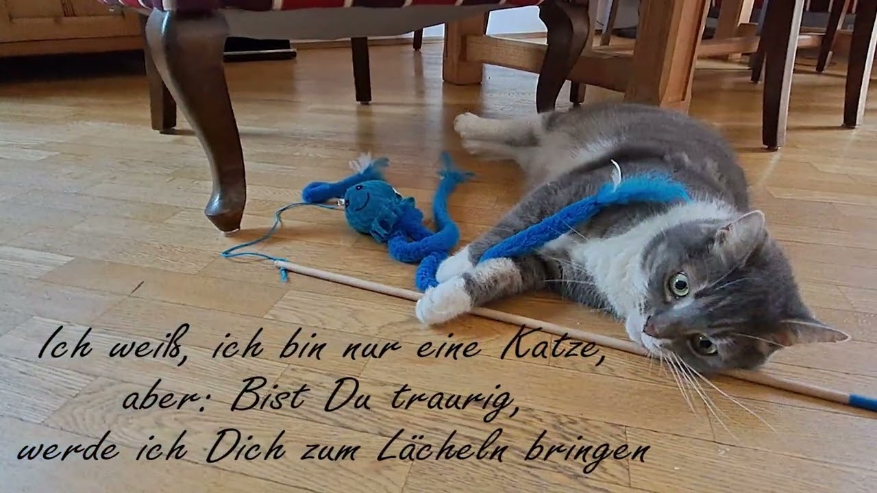 Liebe Wochenendgrüße