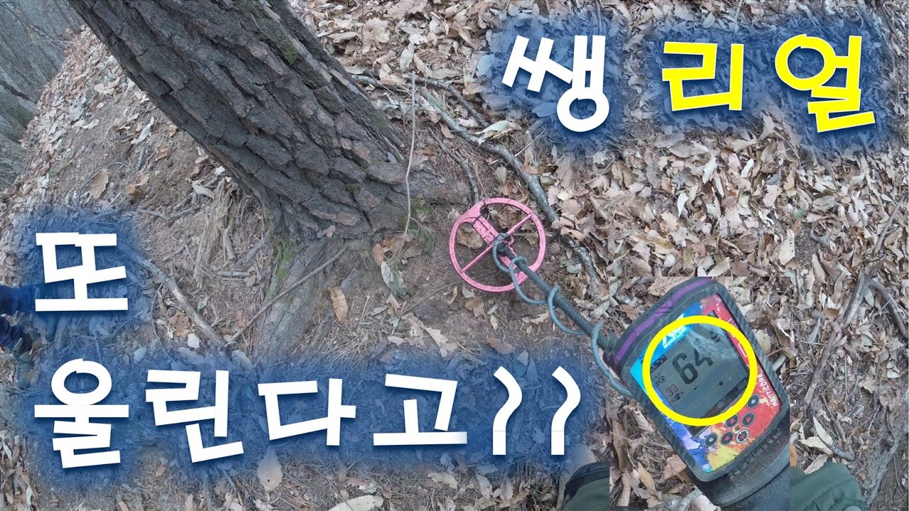 오! 또! 울린다!! 나이스!! #금속탐지기 #산탐