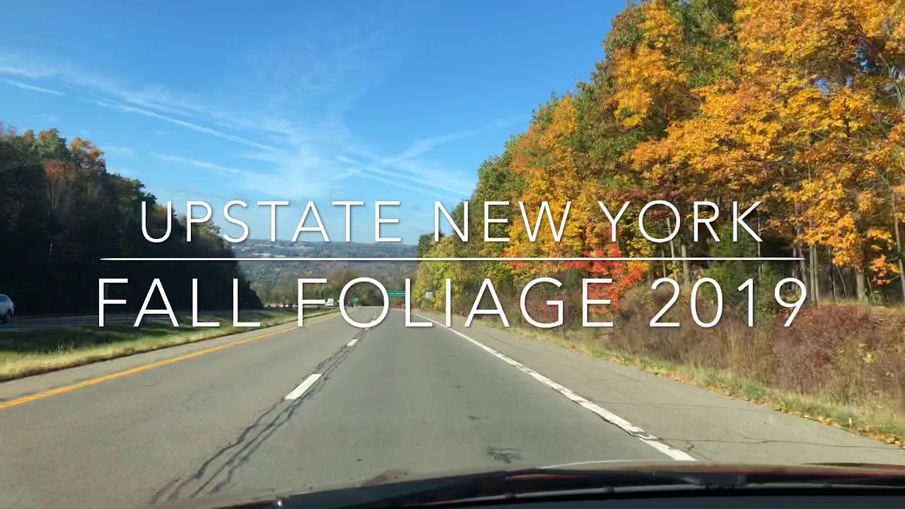 Upstate New York Fall Foliage 2019 Compilation