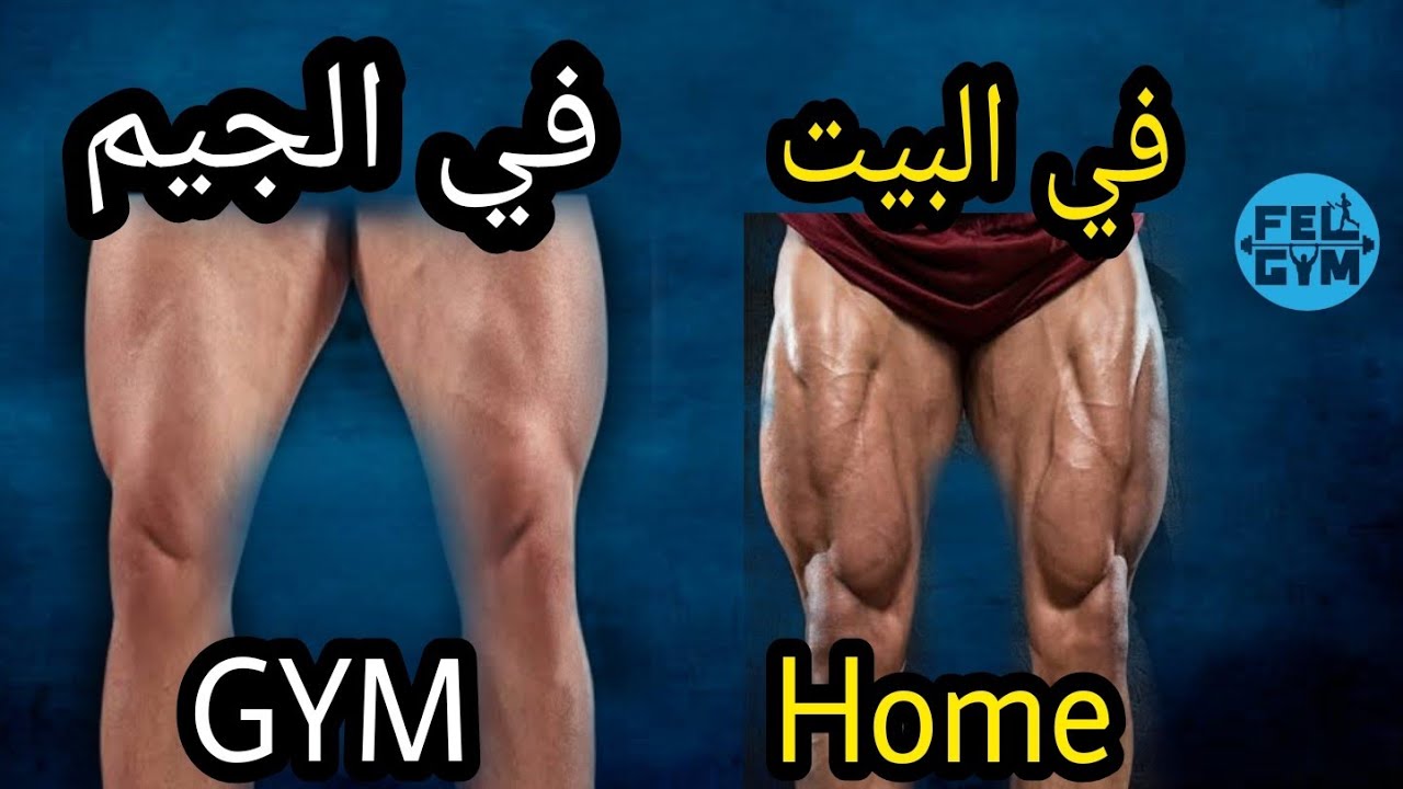 أقوى تمرينات تقوية عضلات الأرجل  فى المنزل | legs home workout