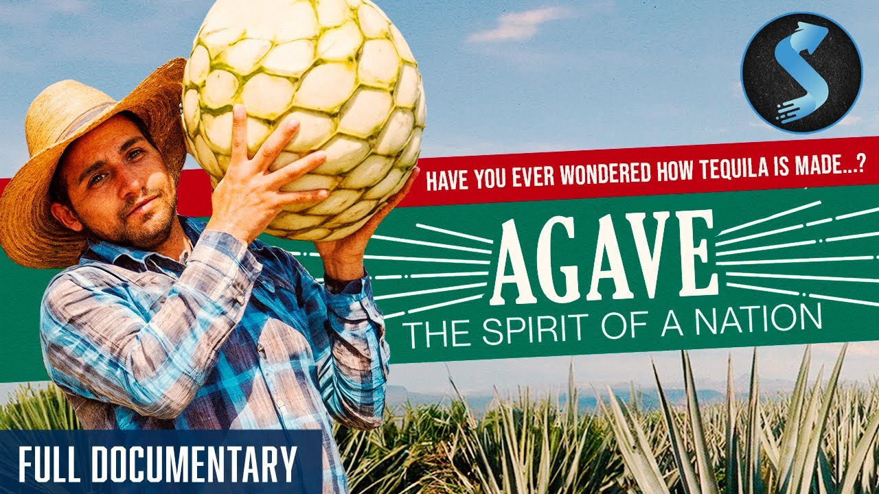 Inside Mexico&rsquo;s Agave Fields: Tequila! | Documentary | Full Movie | Agave: The Spirit of A Nation