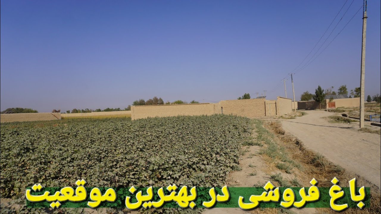 گزارش حیات الله: از زمین های آبی  فروشی در شیر آباد مزارشریف با قیمت مناسب در موقیعت عالی 