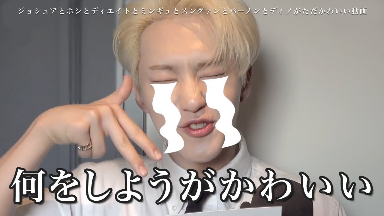 [セブチ] 多分世界一ゆるいミッションチャレンジ動画  [SEVENTEEN/세븐틴]