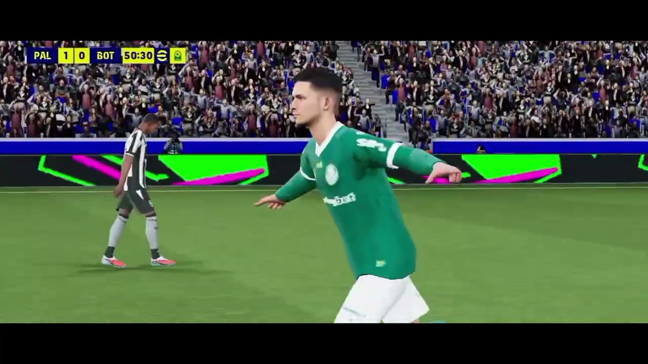 PALMEIRAS X BOTAFOGO 