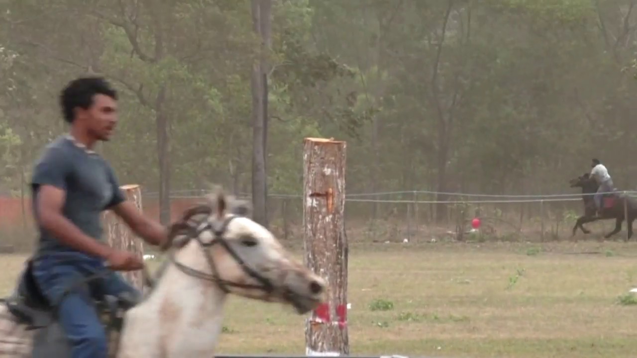 Bamaga Show Horse Race 2017