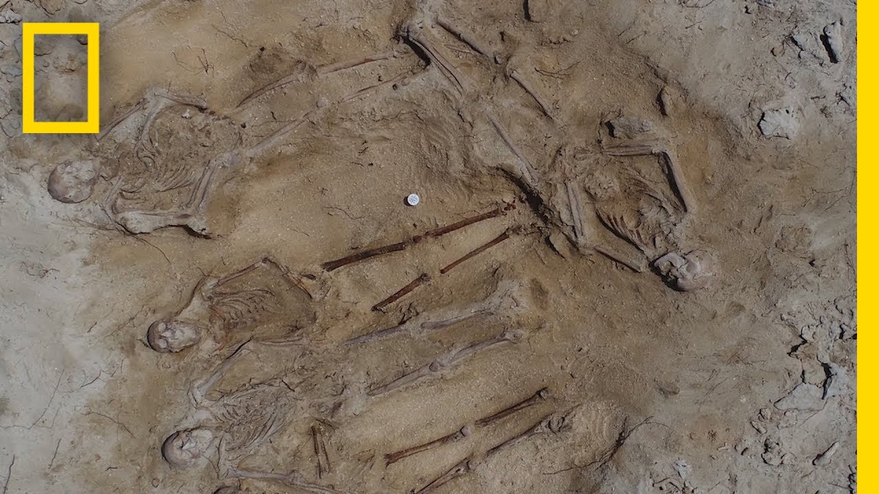 Body Count Rises on 400-Year-Old 'Murder Island' Shipwreck | National Geographic
