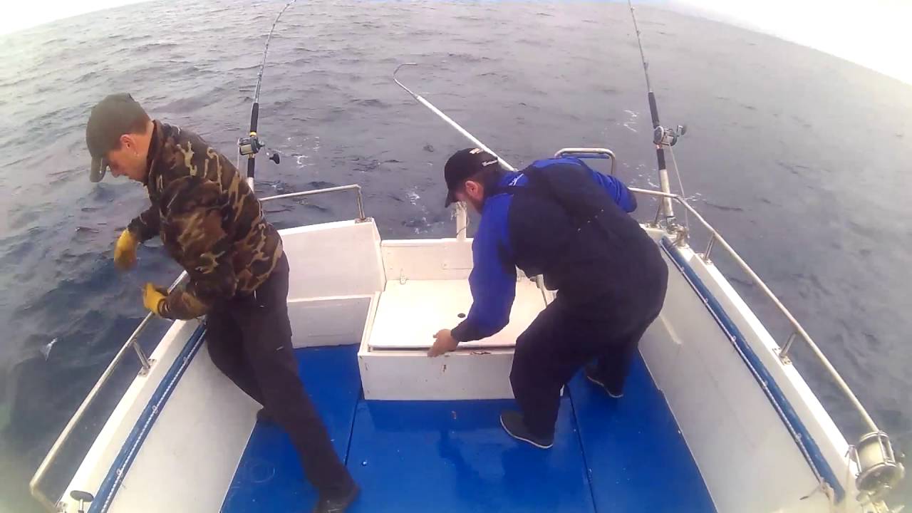 Pesca de bonitos en el Cantábrico 2 embarcación Butikane