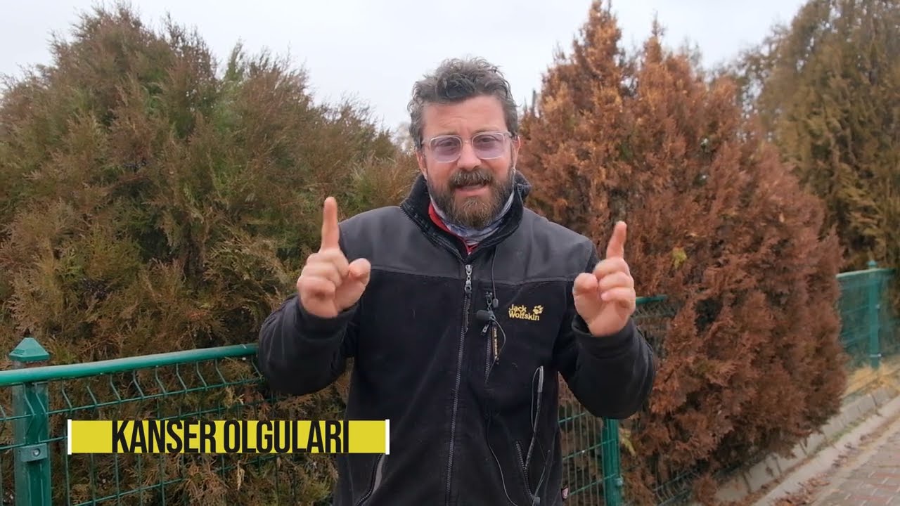 Köpeklerde Kusmanın Olası Sebepleri