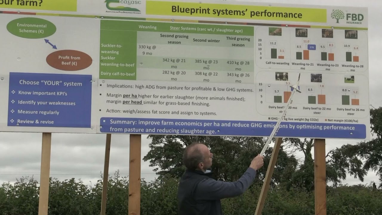 Selecting the most suitable system for your beef farm - Paul Crosson
