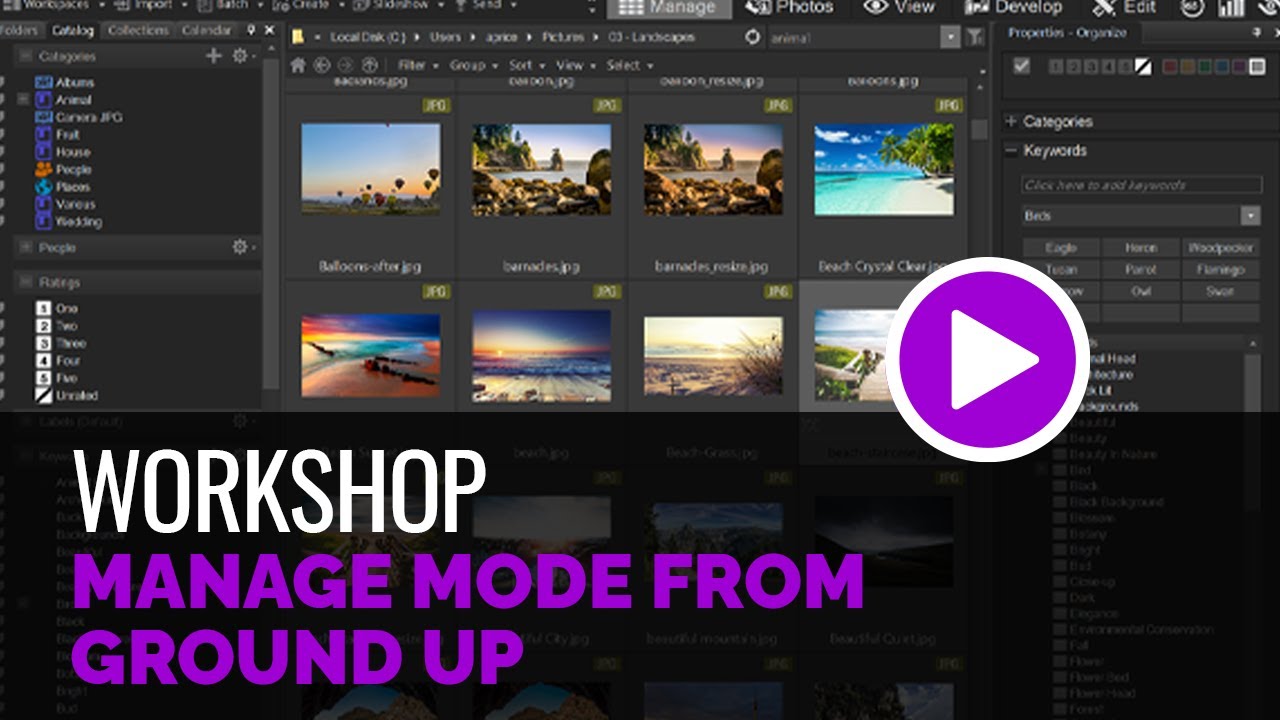 Manage Mode From the Ground Up - Workshop