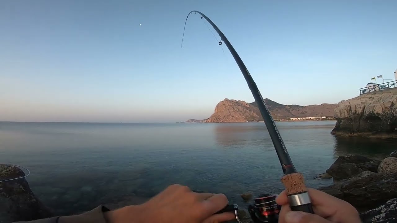 ΕΝΑ ΠΡΩΙΝΟ ΨΑΡΕΜΑ ΜΕ ΖΥΜΑΡΙ ΚΑΙ ΑΡΚΕΤΑ ΨΑΡΑΚΙΑ ΣΤΟ ΠΙΑΤΟ ΜΑΣ!!!