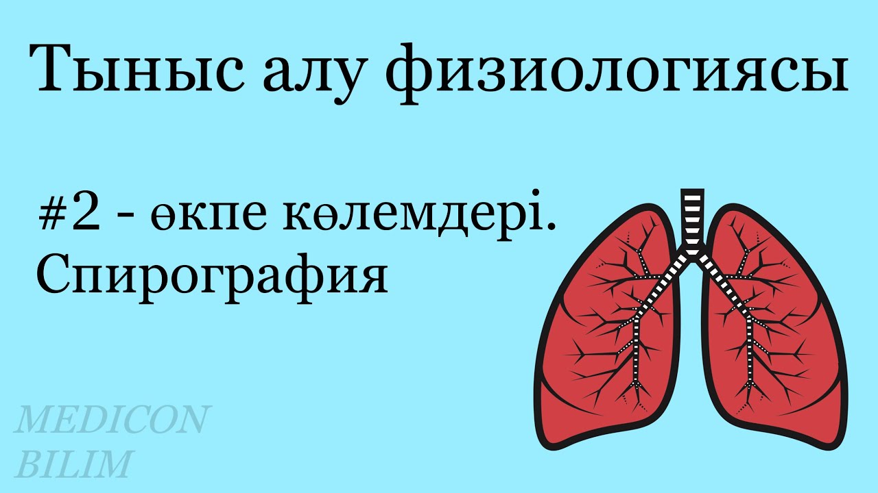 Өкпе көлемдері | Спирография | Физиология курсқа тіркелу👇