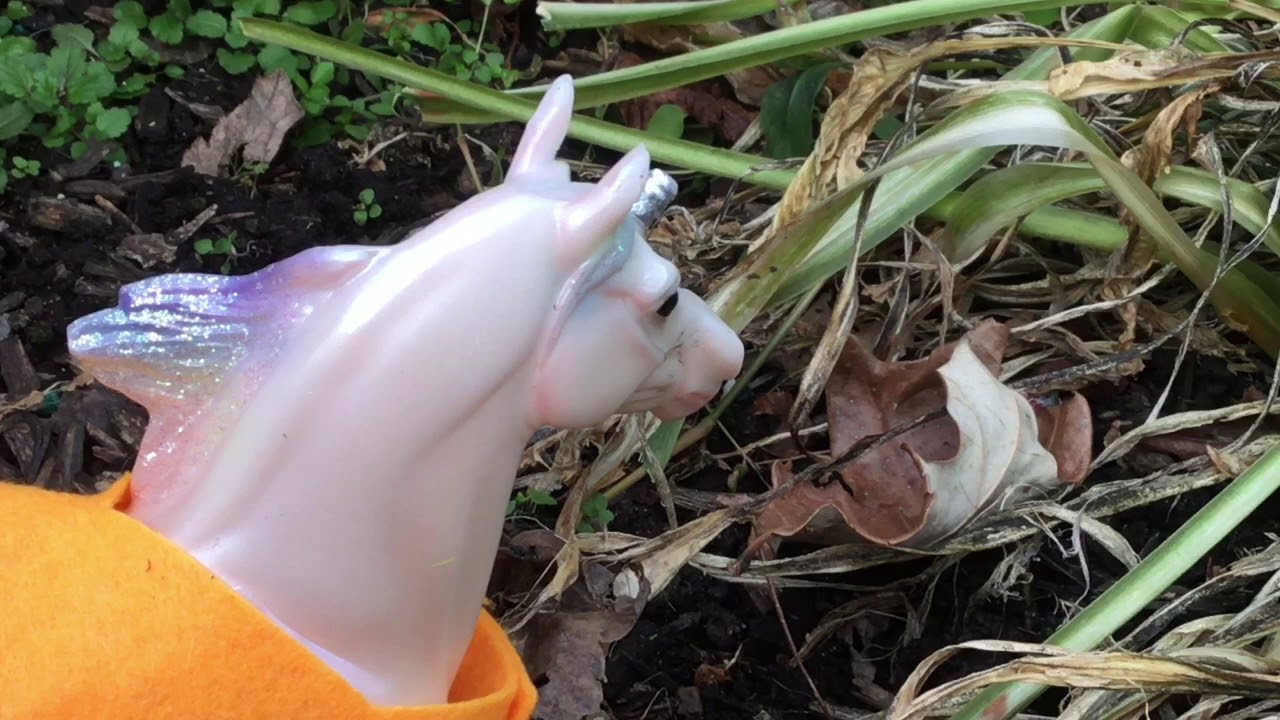 Capture... TAG| season:1 Episode:1| Breyer Horse Series