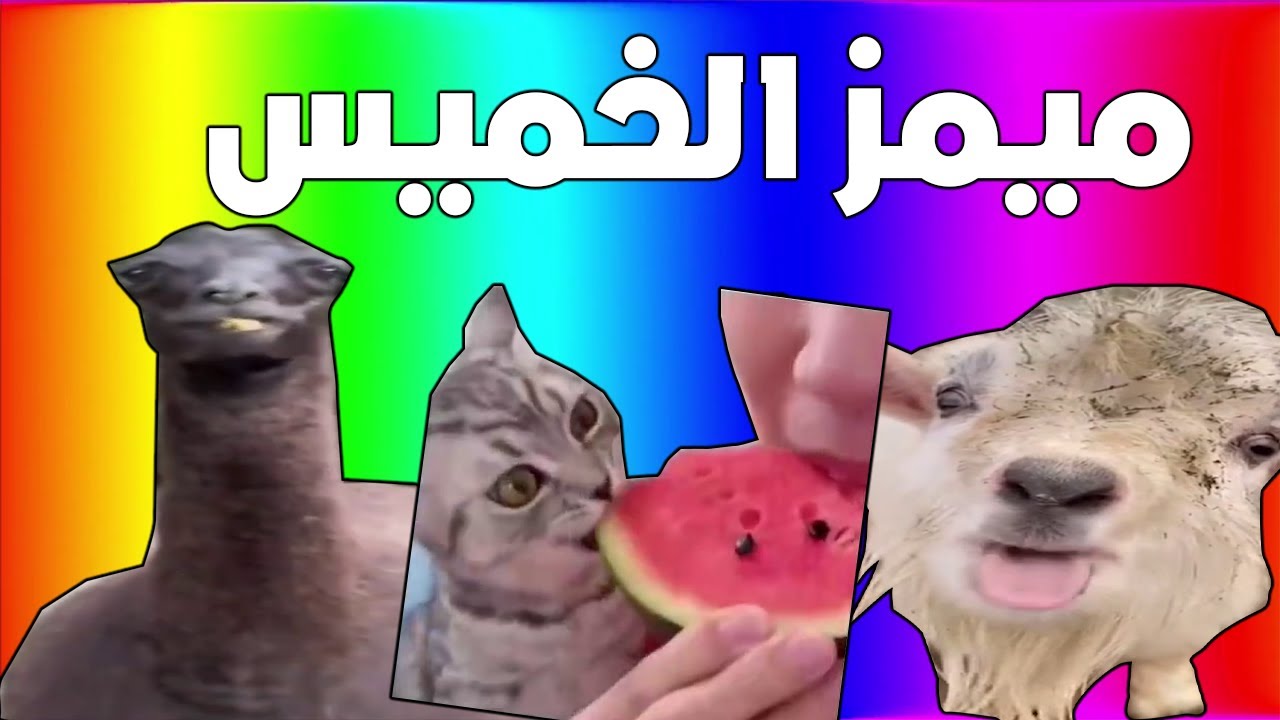 ميمز الخميس #13