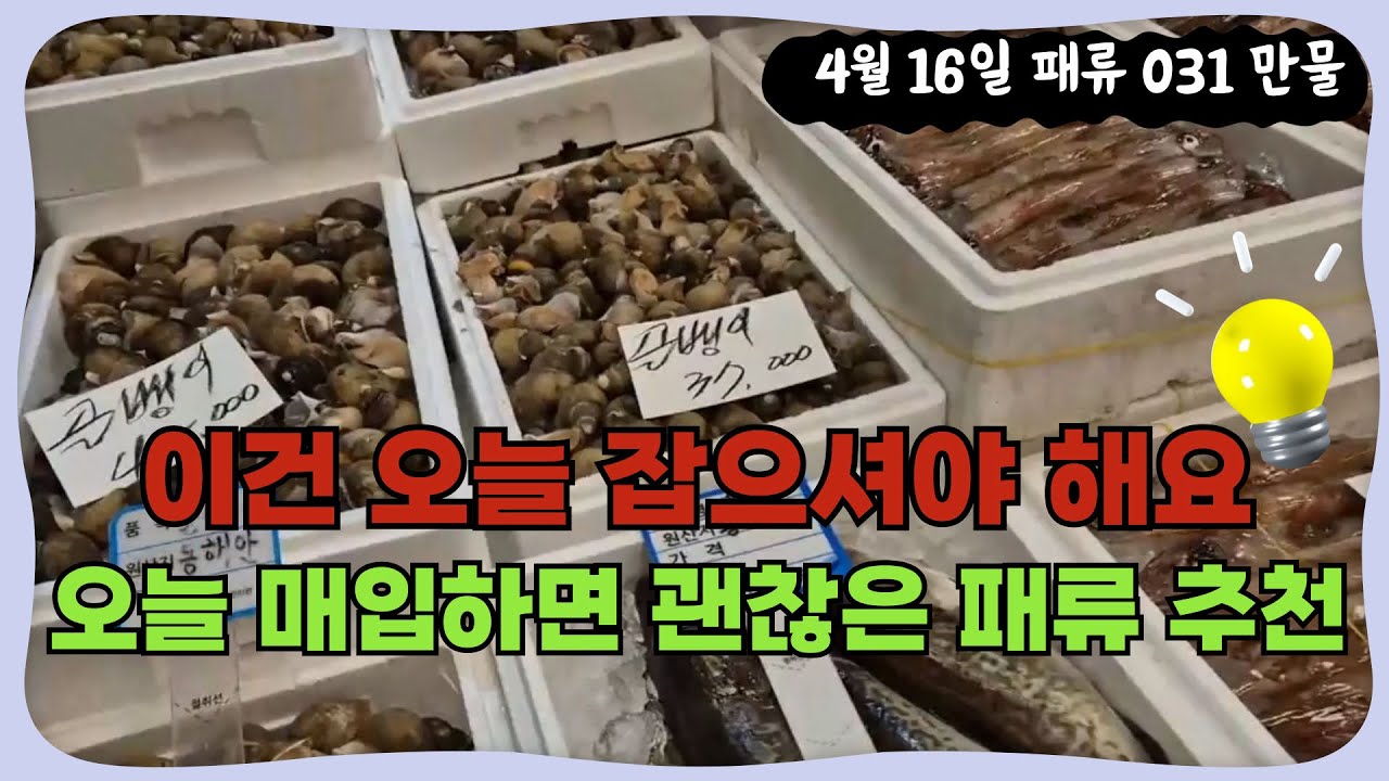 4월 16일 노량진수산시장 만물 (패류031) 시세정보 입니다. 36년 경력으로 믿고 찾아주세요☺