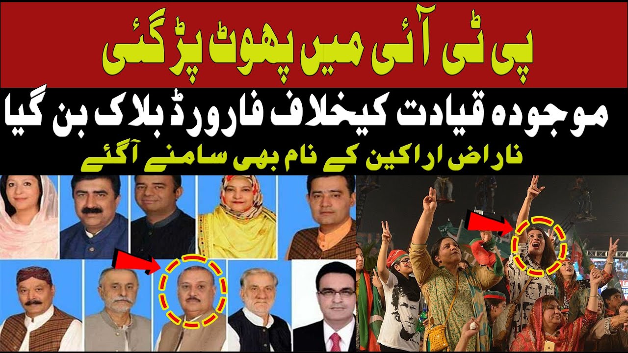 PTI Split: Disgruntled Members Rise Against Current Leadership
