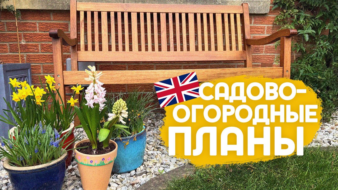 Что в саду, какие планы 