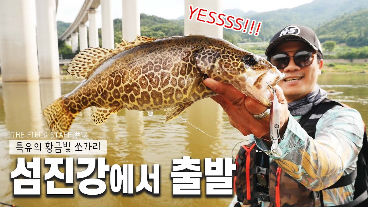 섬진강 여울을 공략하라! 황금빛 쏘가리는 과연_[THE FIELD STAFF_NS_12편 강한승]