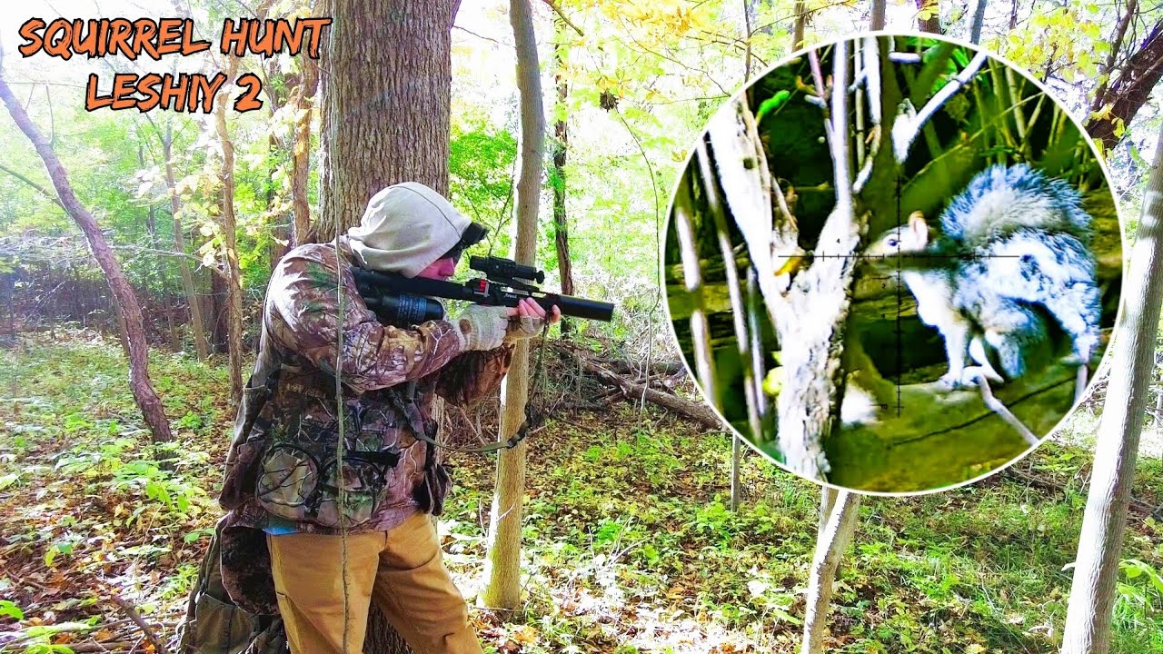 Squirrel Hunt in Some Thick Bush With the Leshiy 2