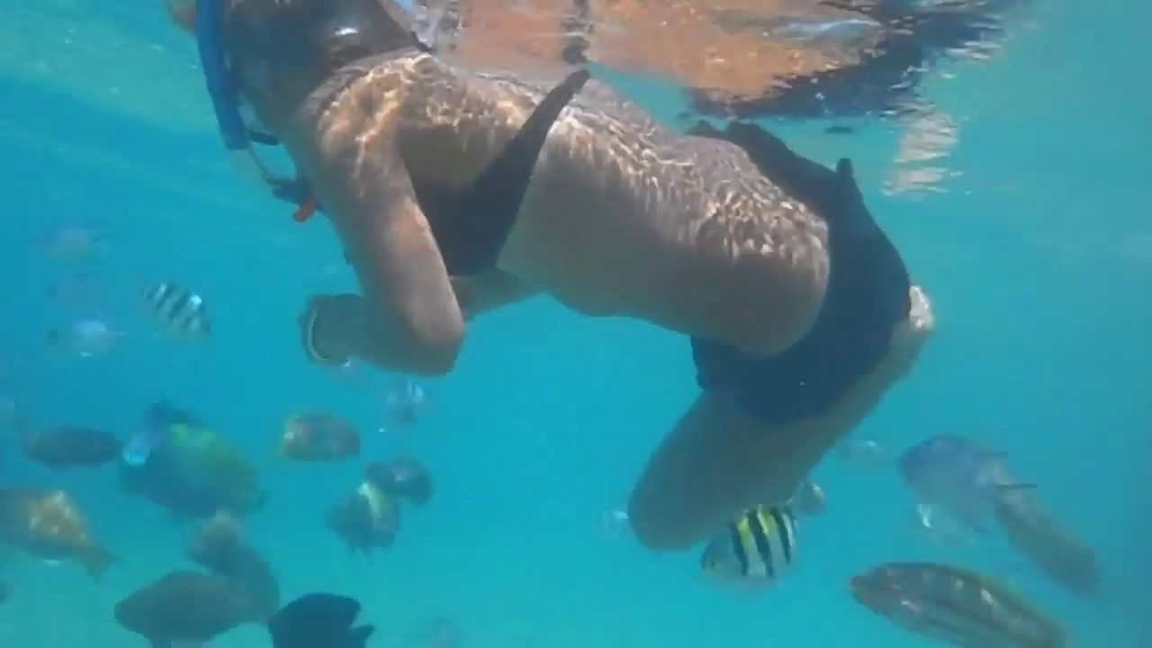 Morze, rafa ... Stella Makadi Gardens / Beach Resort - Egipt Hargada (Hurghada) 2012.