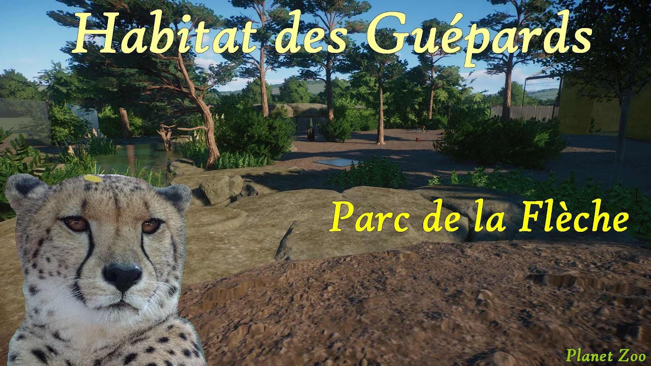 Habitat des guépards | Ep.18 | parc de la Flèche | Planet zoo