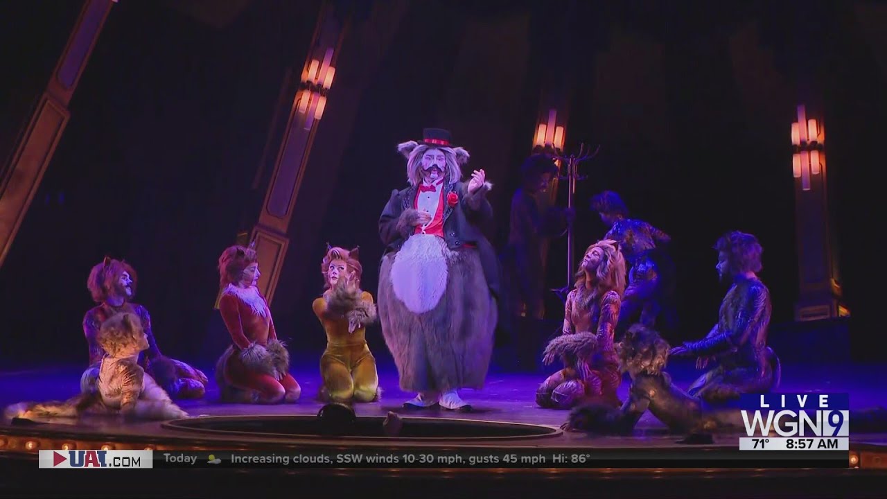 Around Town - Cats at Paramount Theatre
