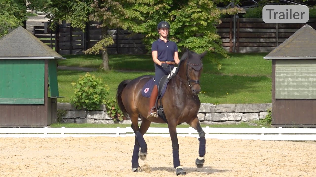 Am Sitz reiten als Voraussetzung f&uuml;r die Passage