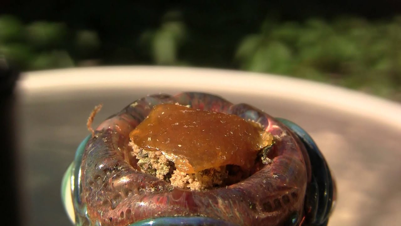 tokin daily: dab lab sale, tokin tours