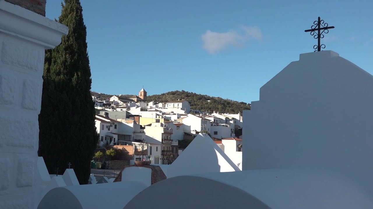 Málaga Salerosa (CASABERMEJA)