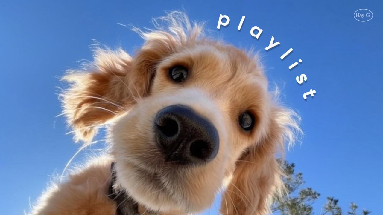Playlist ☁️ Не знаешь, что послушать? Включи это. Feel Good Songs, Groove | Без рекламы | Hay G 💙