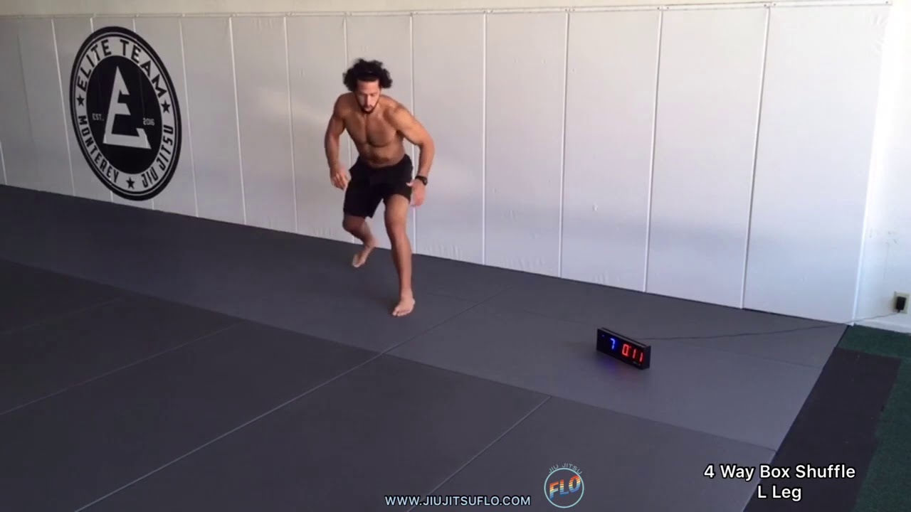 30 Minute Home HIIT  (Follow Along) Workout #10 - Jiu Jitsu FLO