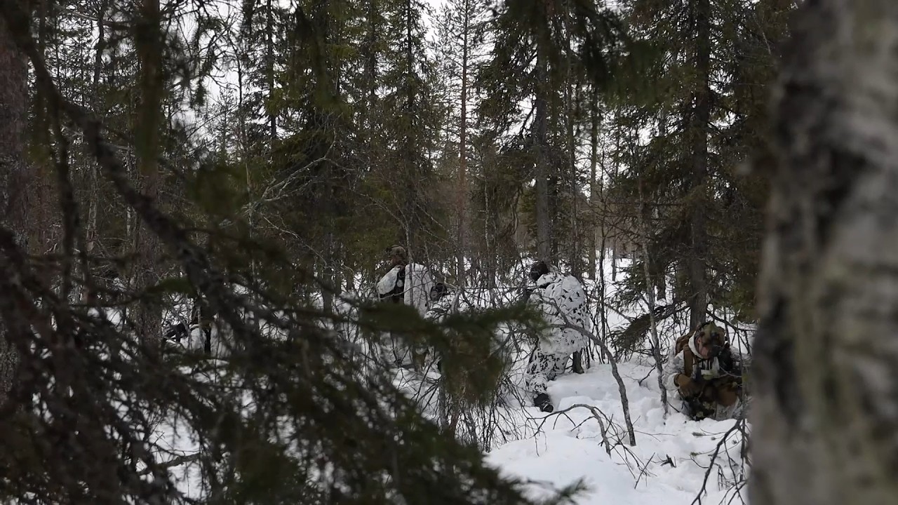 U.S. Marines and Swedish Soldiers of Skaraborg Regiment in Finland