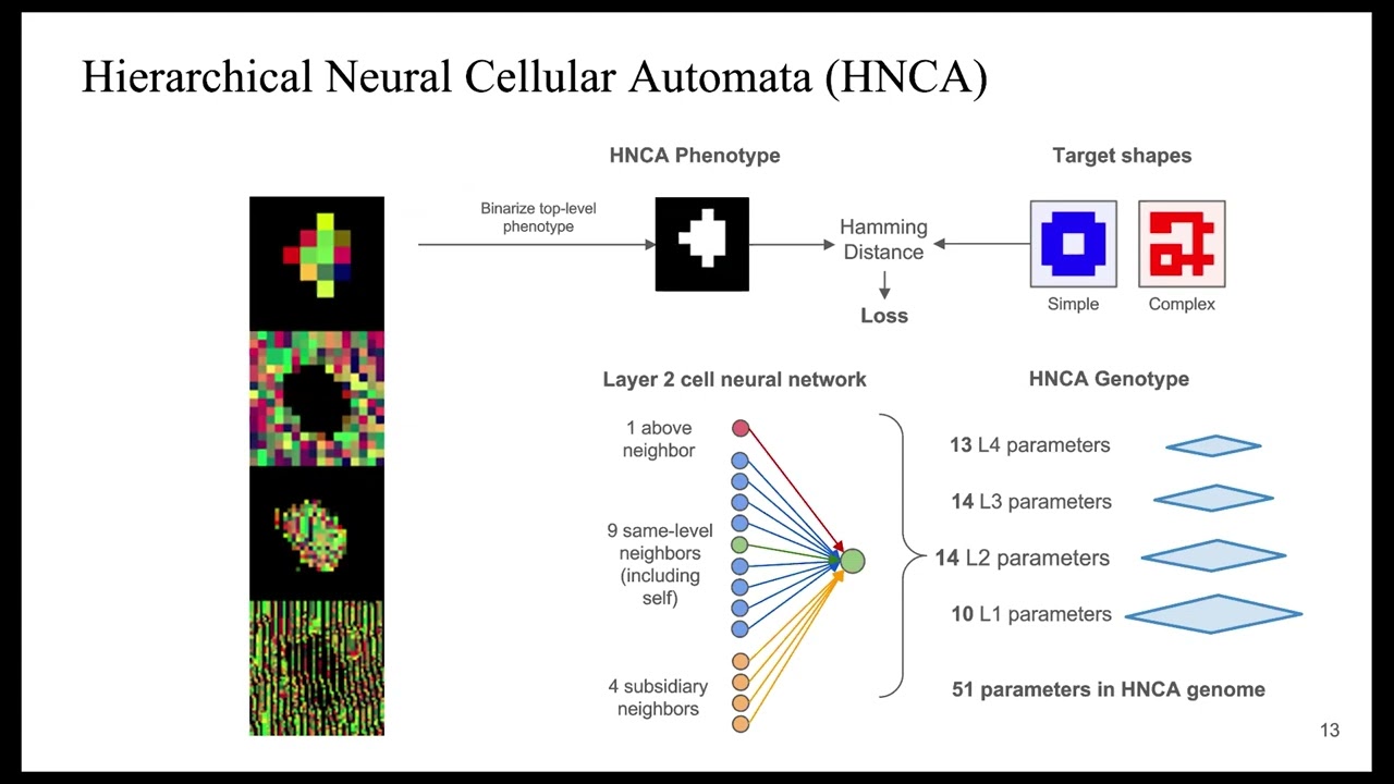 Kam Bielawski - Neutral Networks in Hierarchical Neural Cellular Automata