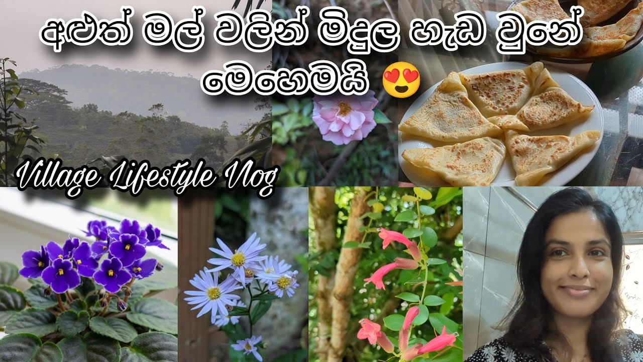 මගේ මල් එකතුවට ආපු අළුත් හැඩකාරියෝ 😍 | Village Lifestyle Vlog |  Gardening Vlog Sinhala 