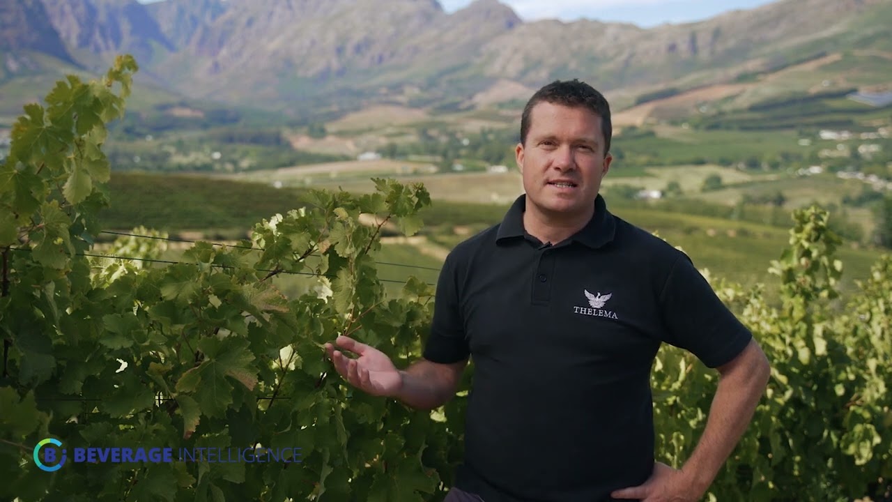 Thelema Region Stellenbosch