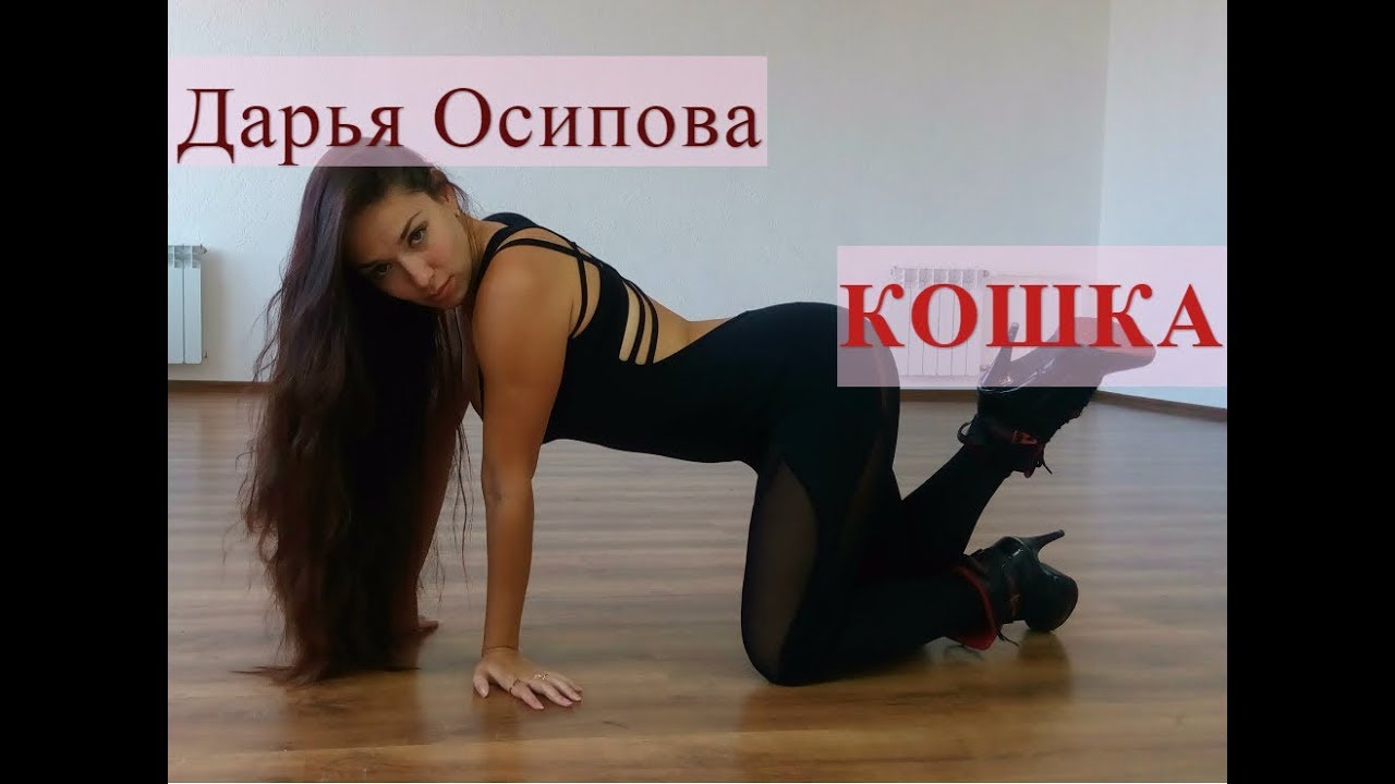 Базовая стрип-пластика: кошка