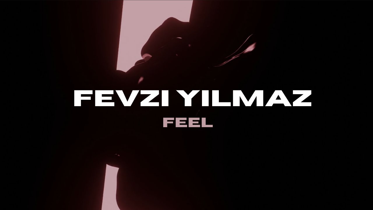 Fevzi Yılmaz - Feel