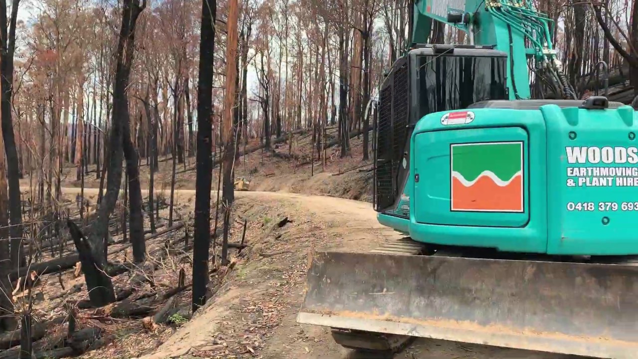Clearing hazardous trees after a bushfire - Orbost, Victoria, Australia