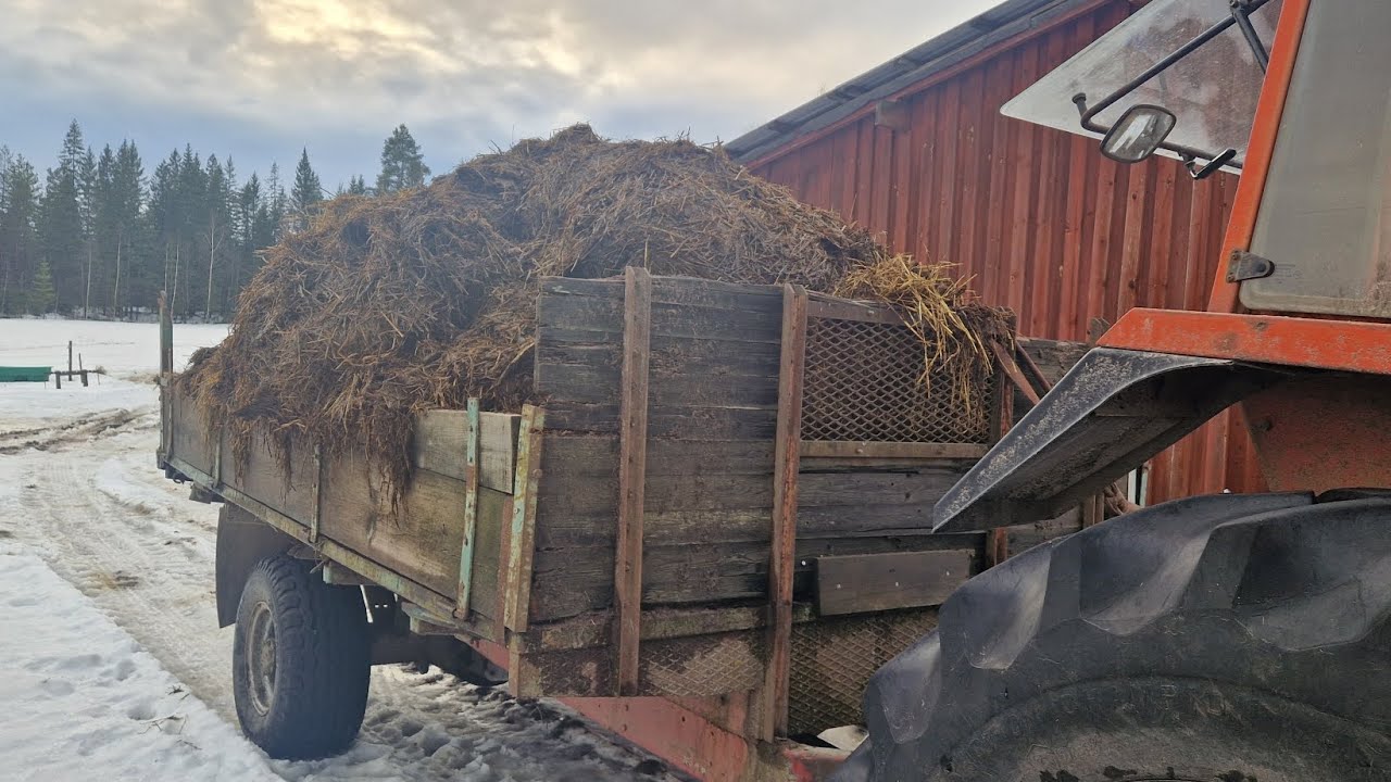 Kör ut lite djupströbädd med kompaktlastare, grävmaskin och traktor.