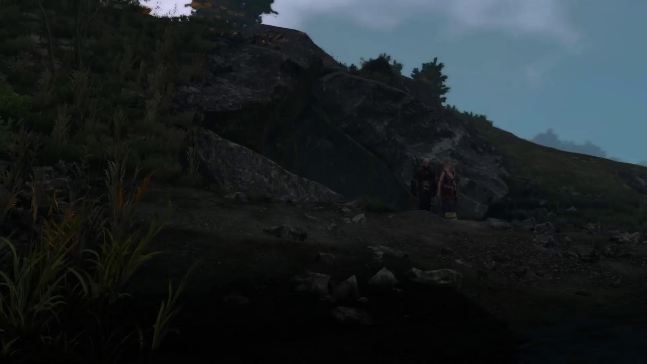 Witcher 3 Wild Hunt