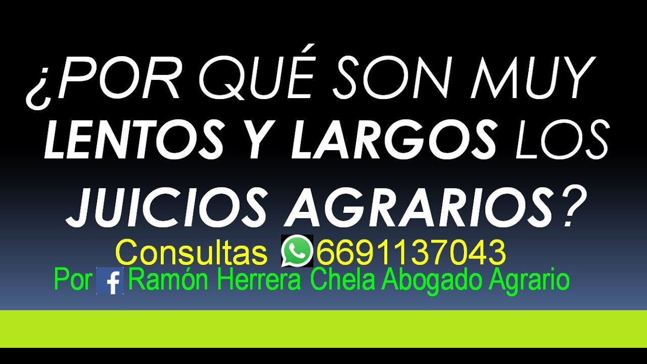 ¿Por qué son lentos y largos los juicios agrarios?