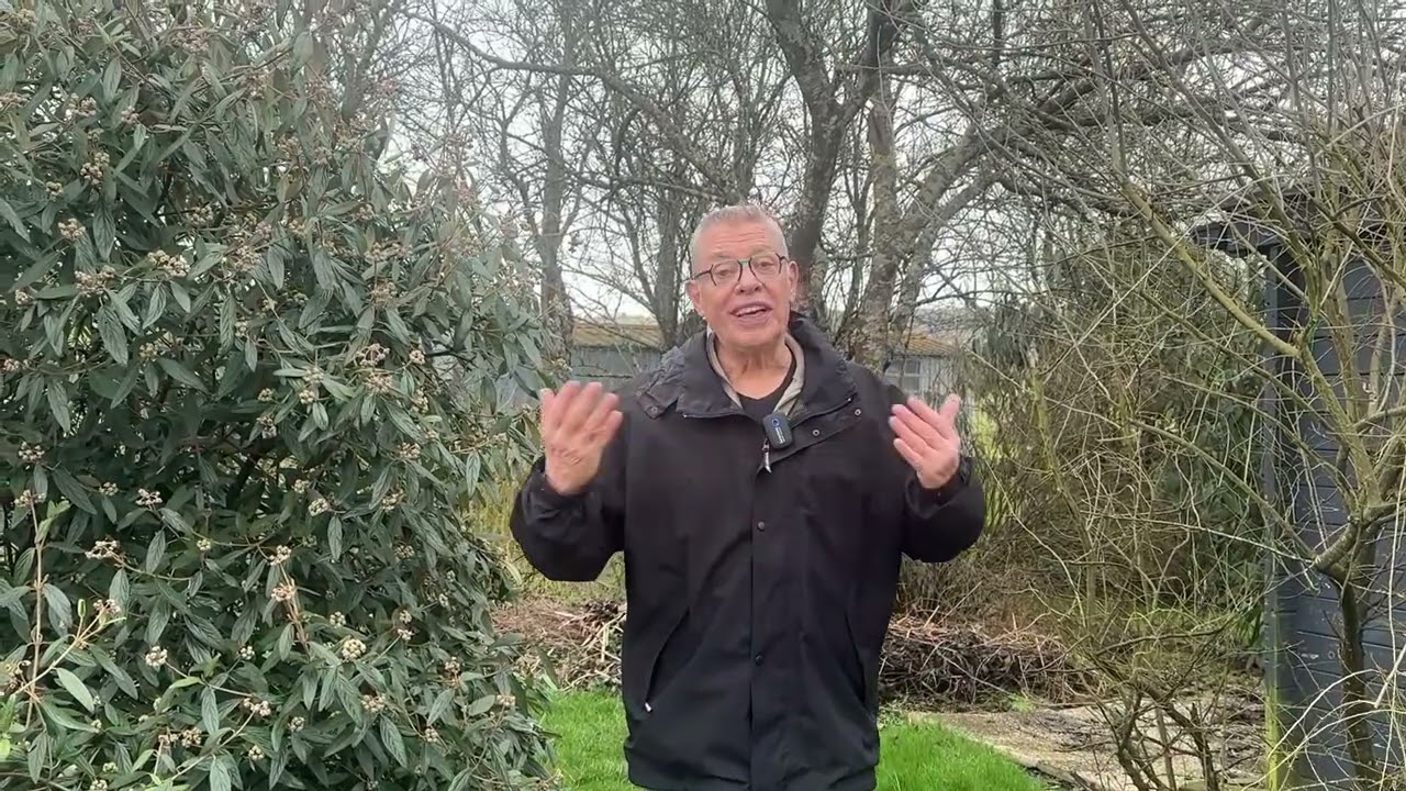 Quoi faire au potager du 23 février au 1er mars !