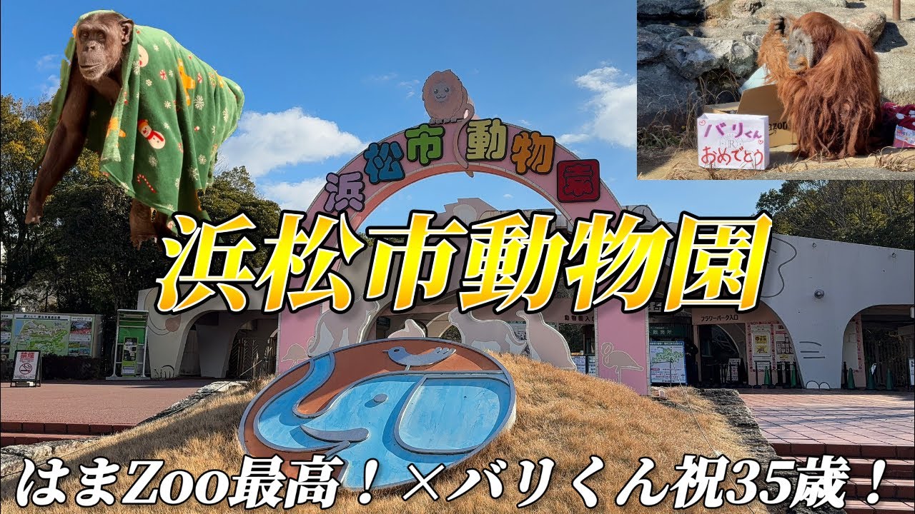 【はまZOO】心の汚れたボッチ男、バリくんの生誕祭で愛の格差に咽び泣く【浜松市動物園】