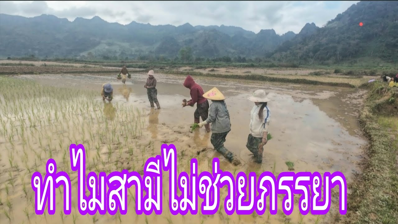 ในหมู่บ้านชนบทภรรยาลำบากอยู่คนเดียว