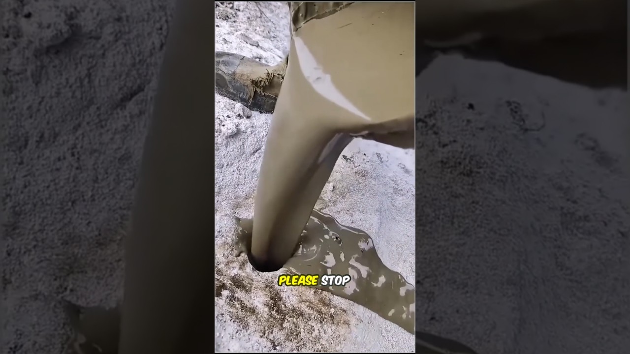 Dad put a lot of chocolate inside the hole | #shorts #shortsviral #shortvideo