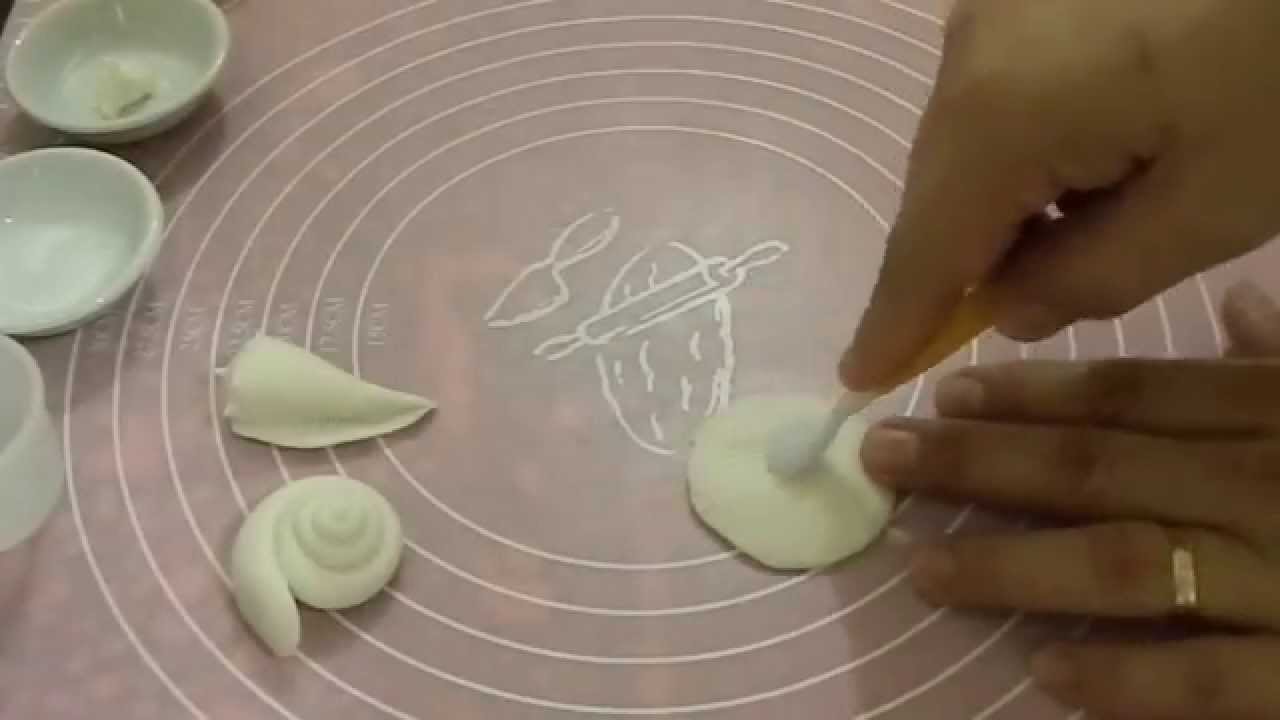 Seashells Tutorial part 1