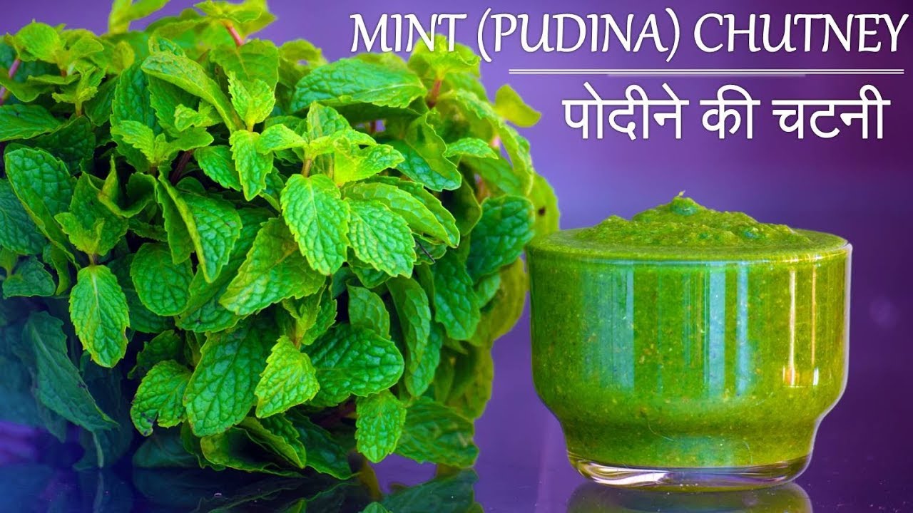 Pudina Chutney | पोदीने की चटनी | Mint Chutney | Green Chutney | Indian Recipes